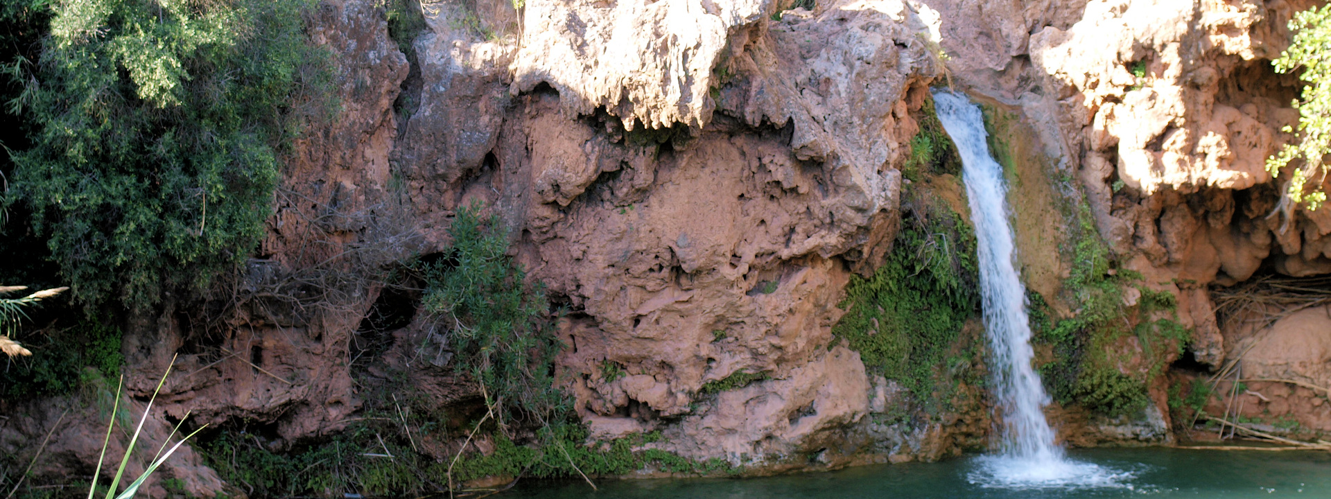 Create Without Limits