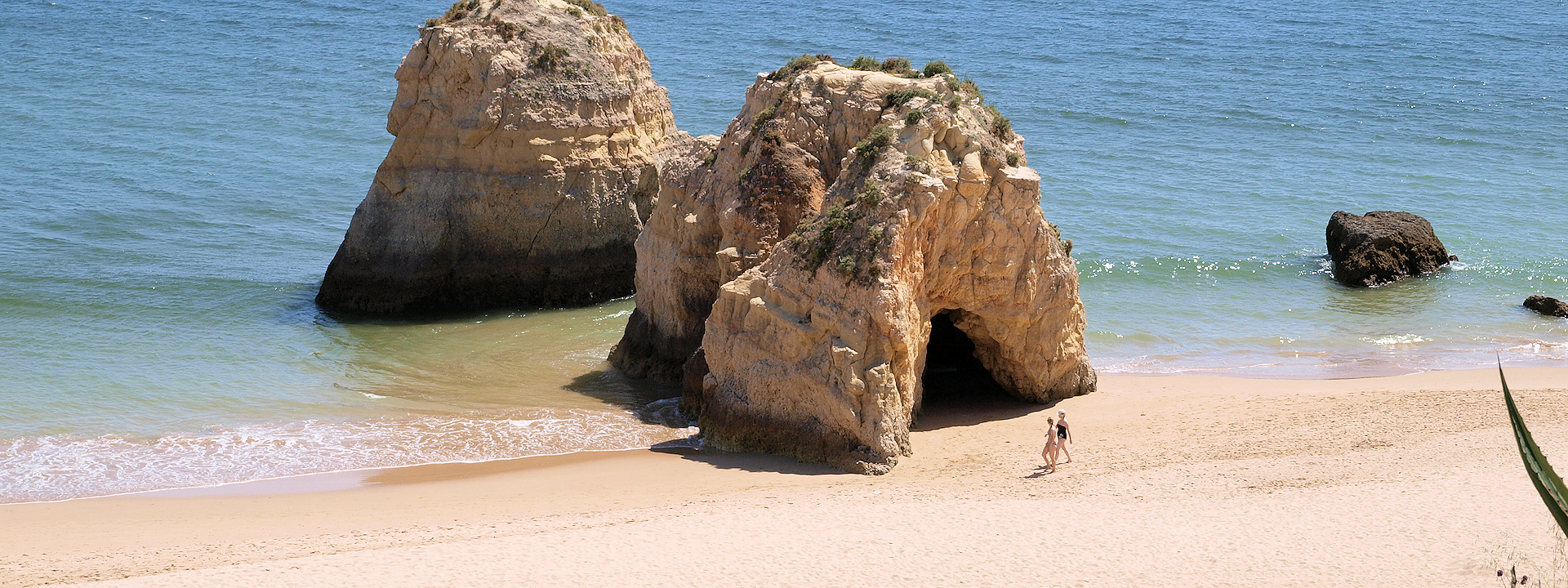 Create Without Limits